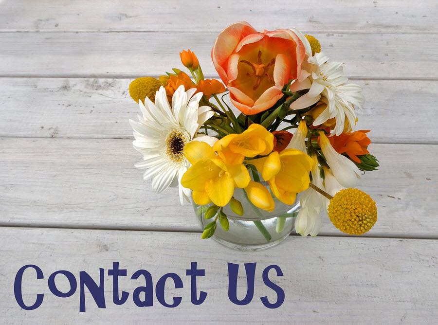 contact-us